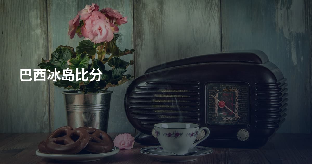 巴西冰岛比分