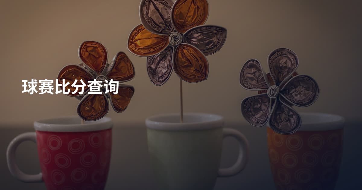 球赛比分查询
