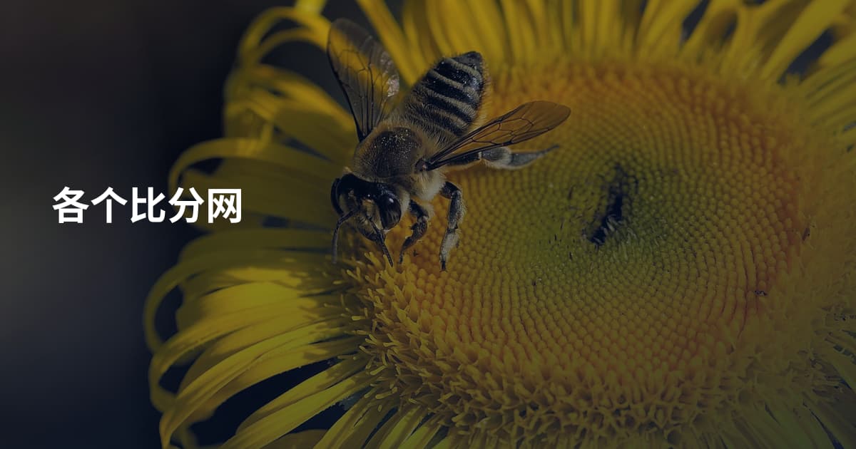 各个比分网