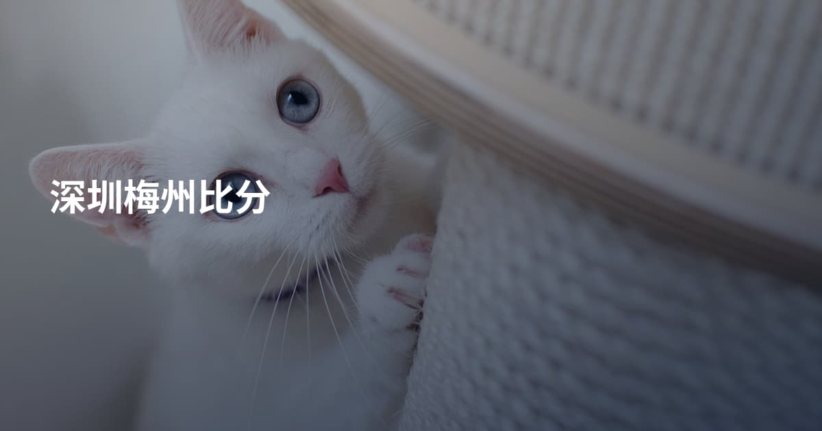 深圳梅州比分