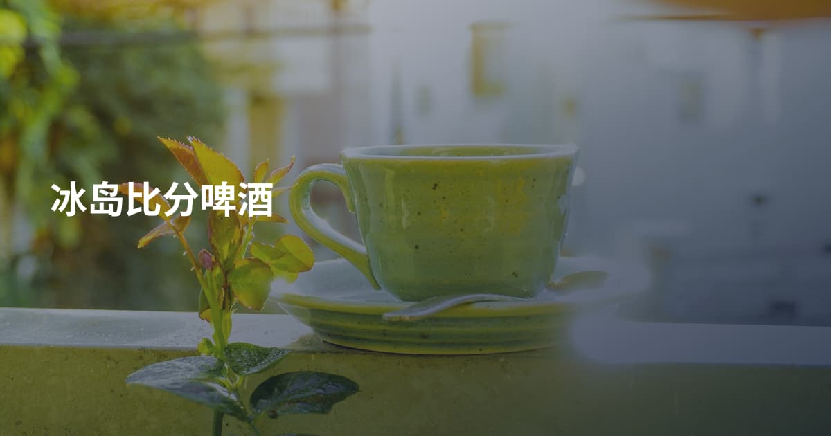 冰岛比分啤酒