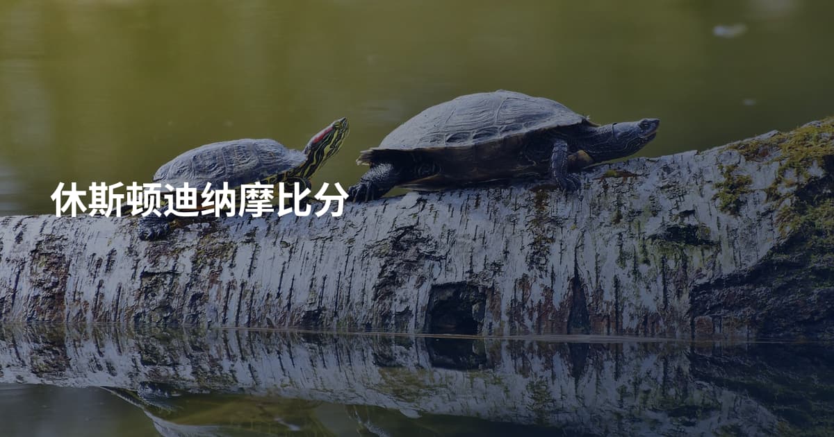 休斯顿迪纳摩比分