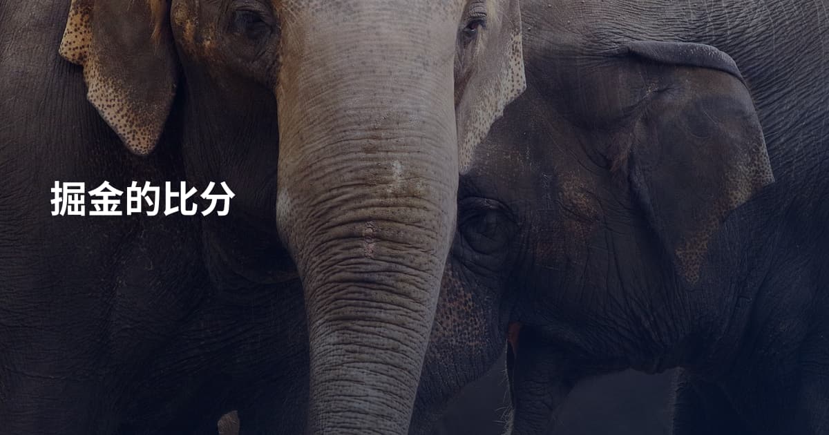 掘金的比分