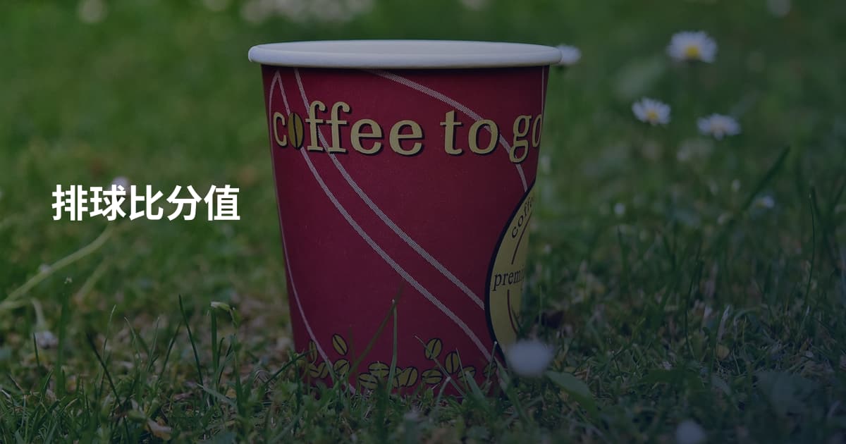 排球比分值