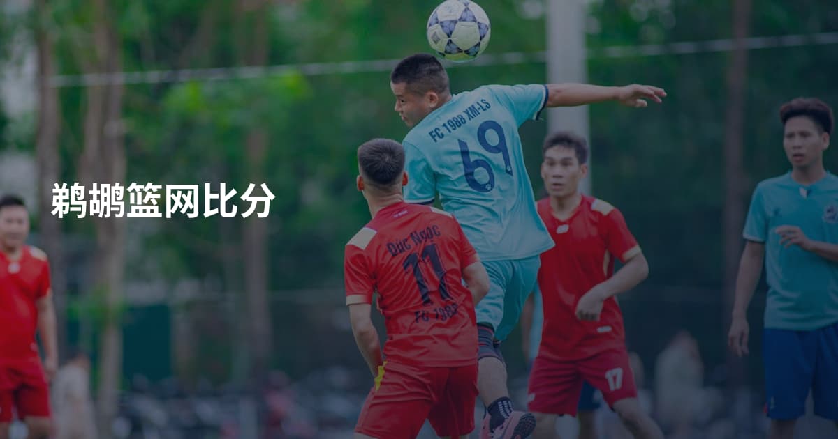 鹈鹕篮网比分