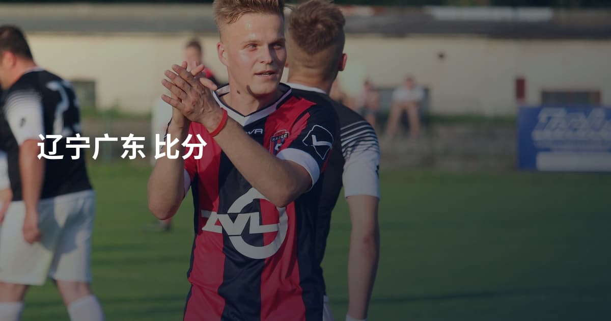 辽宁广东 比分