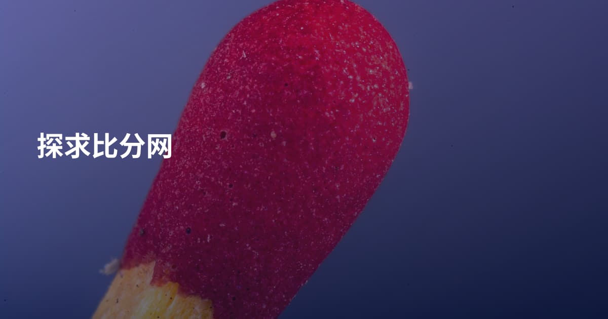 探求比分网