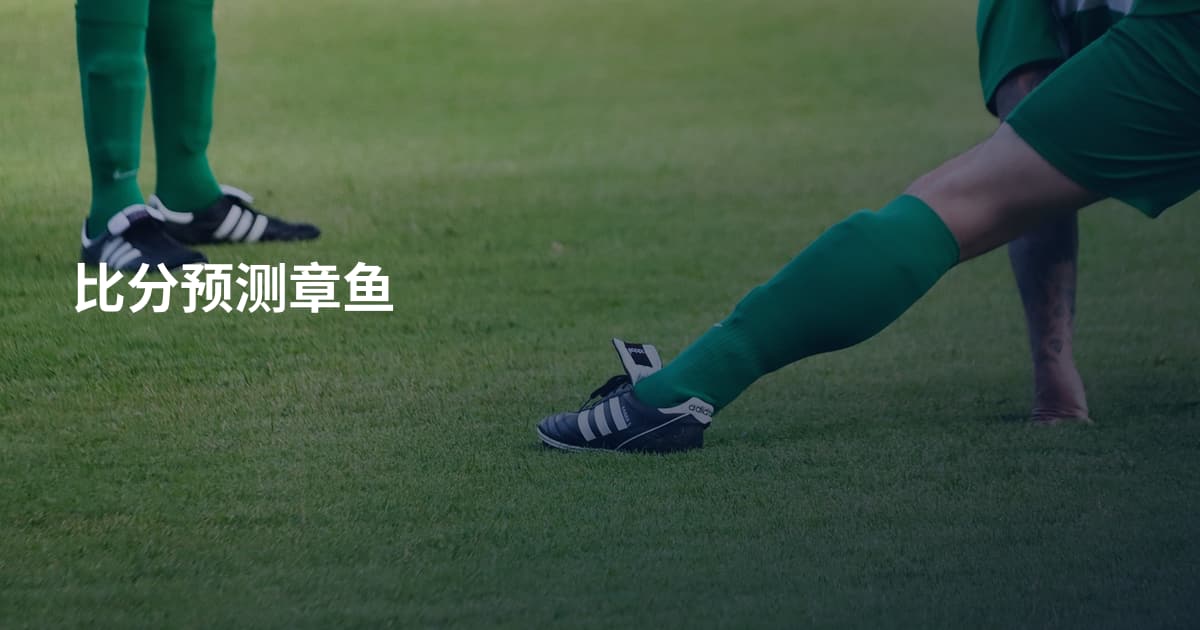 比分预测章鱼