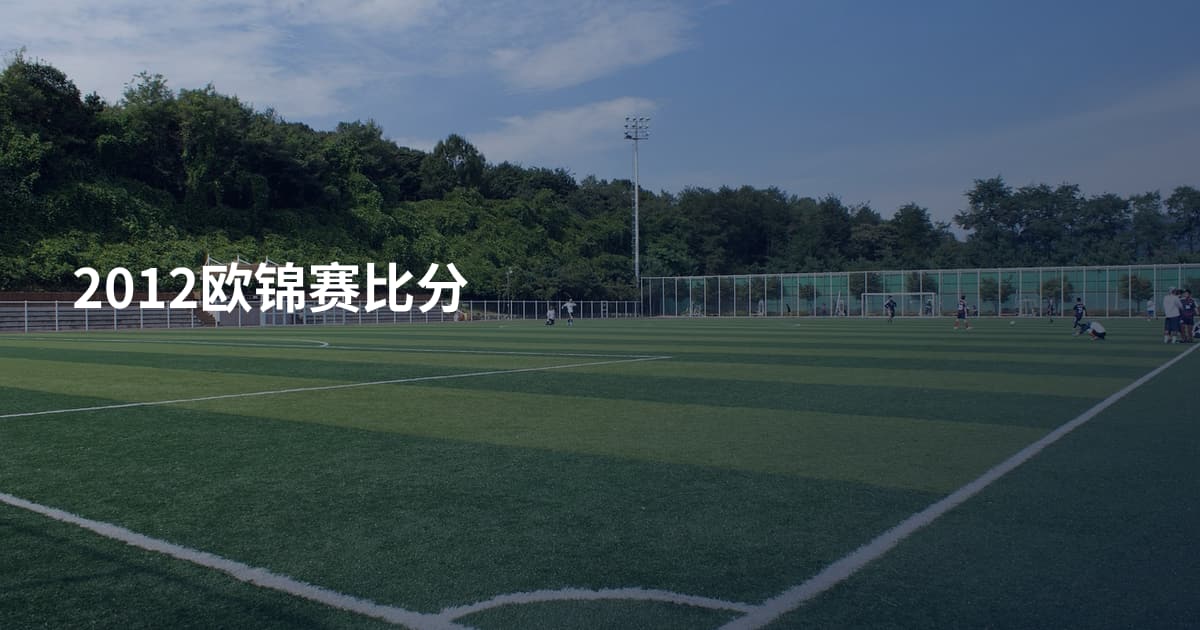 2012欧锦赛比分