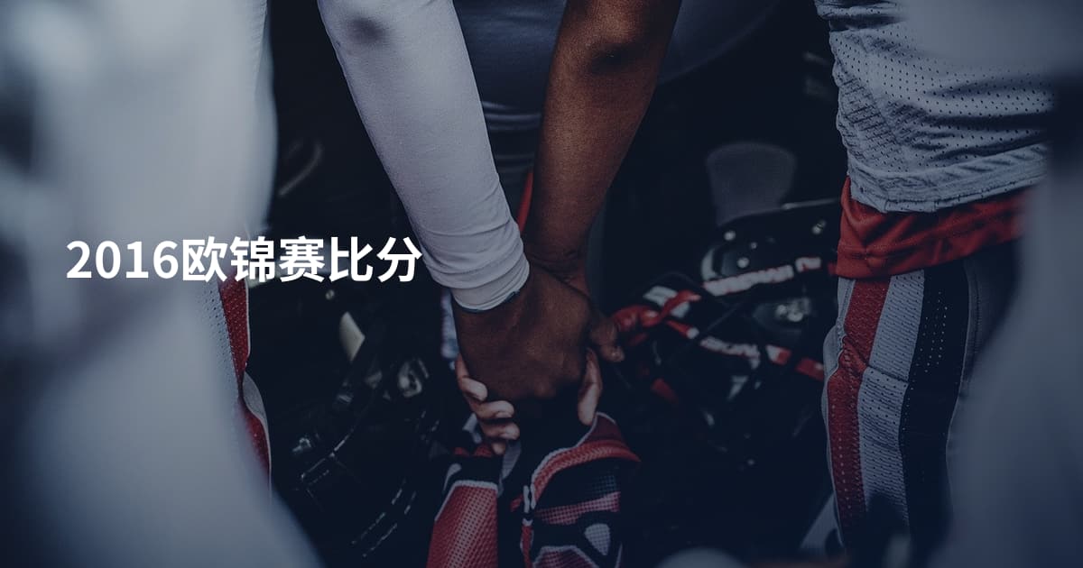 2016欧锦赛比分