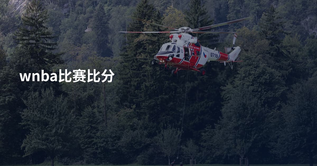 wnba比赛比分