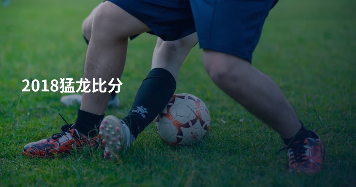 2018猛龙比分