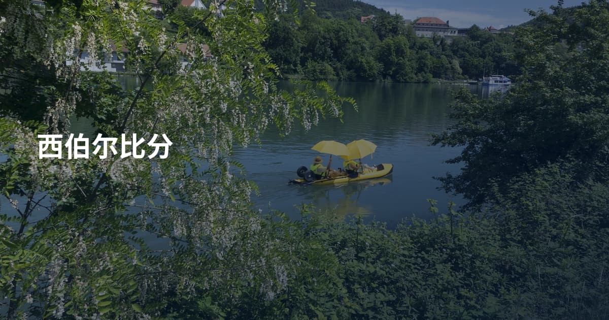 西伯尔比分