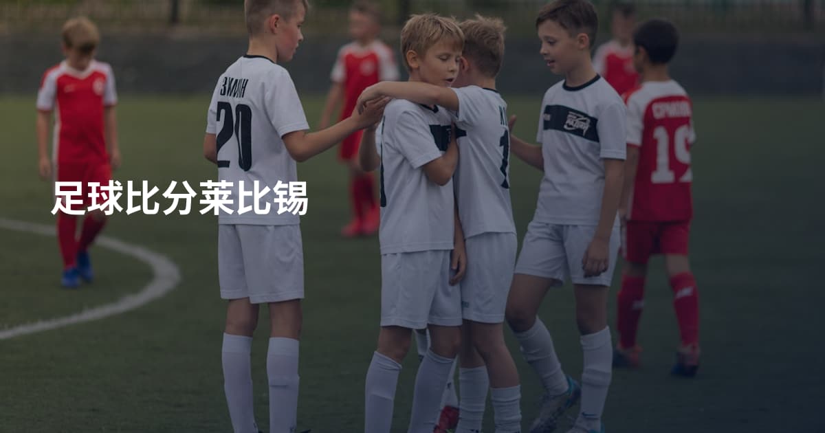 足球比分莱比锡