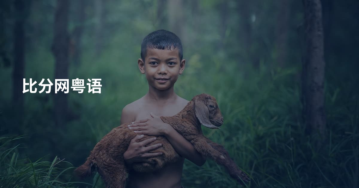 比分网粤语