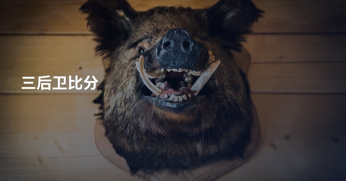 三后卫比分