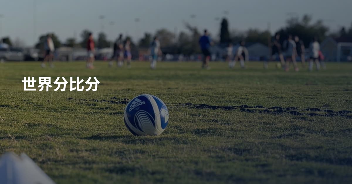 世界分比分