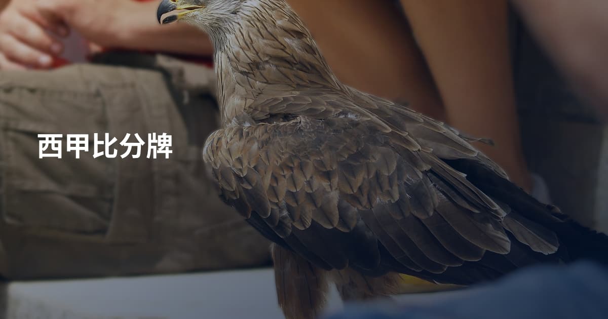 西甲比分牌