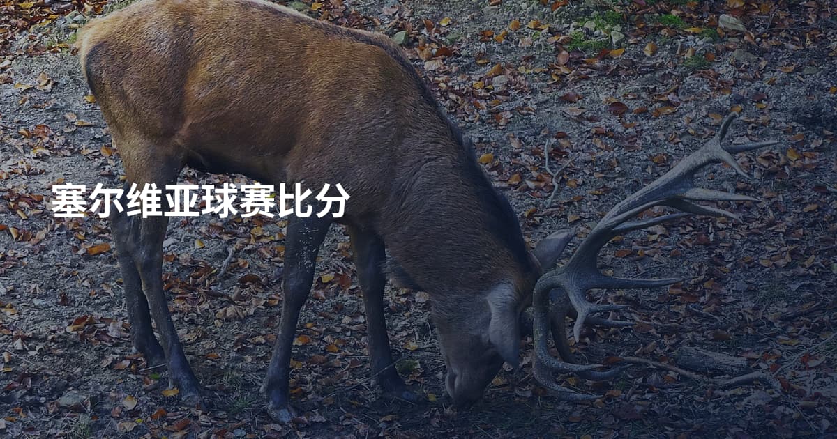 塞尔维亚球赛比分