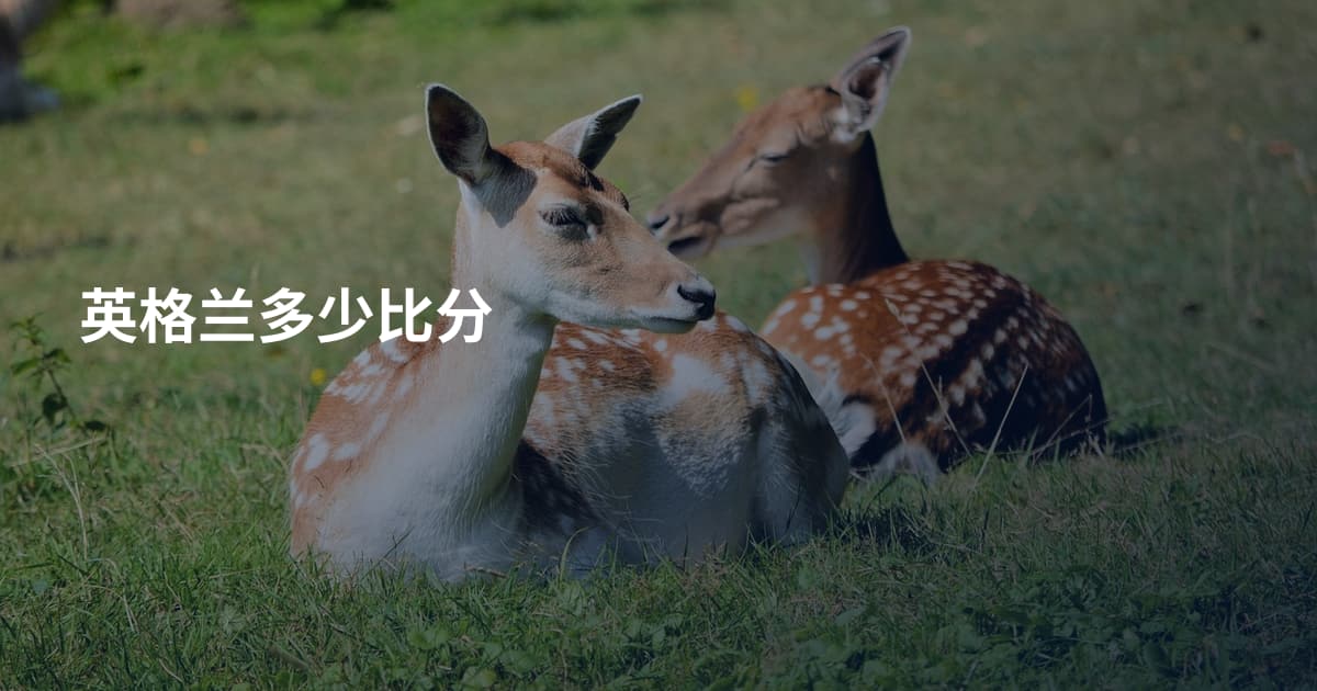 英格兰多少比分