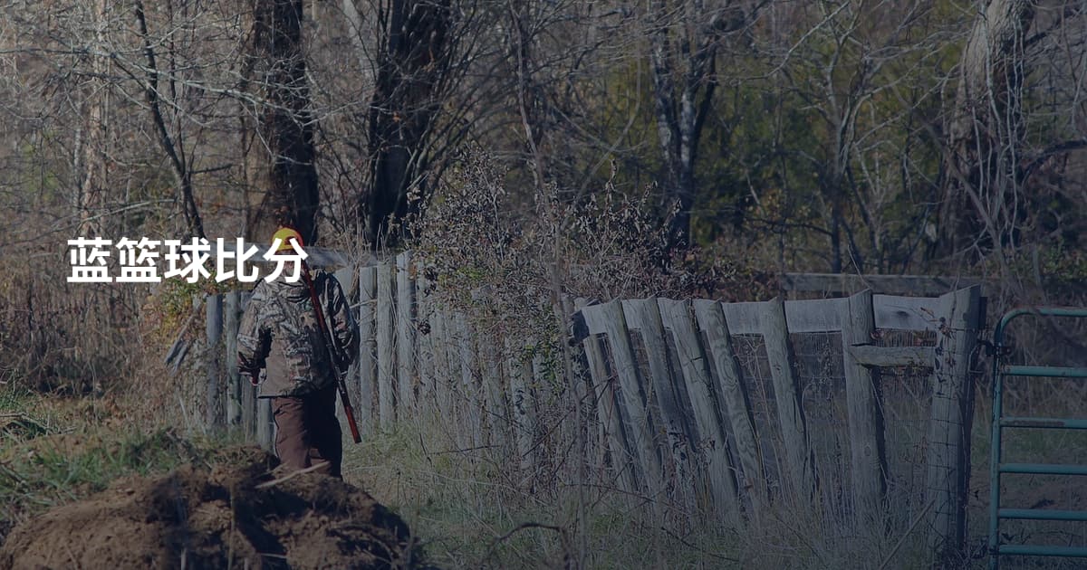 蓝篮球比分