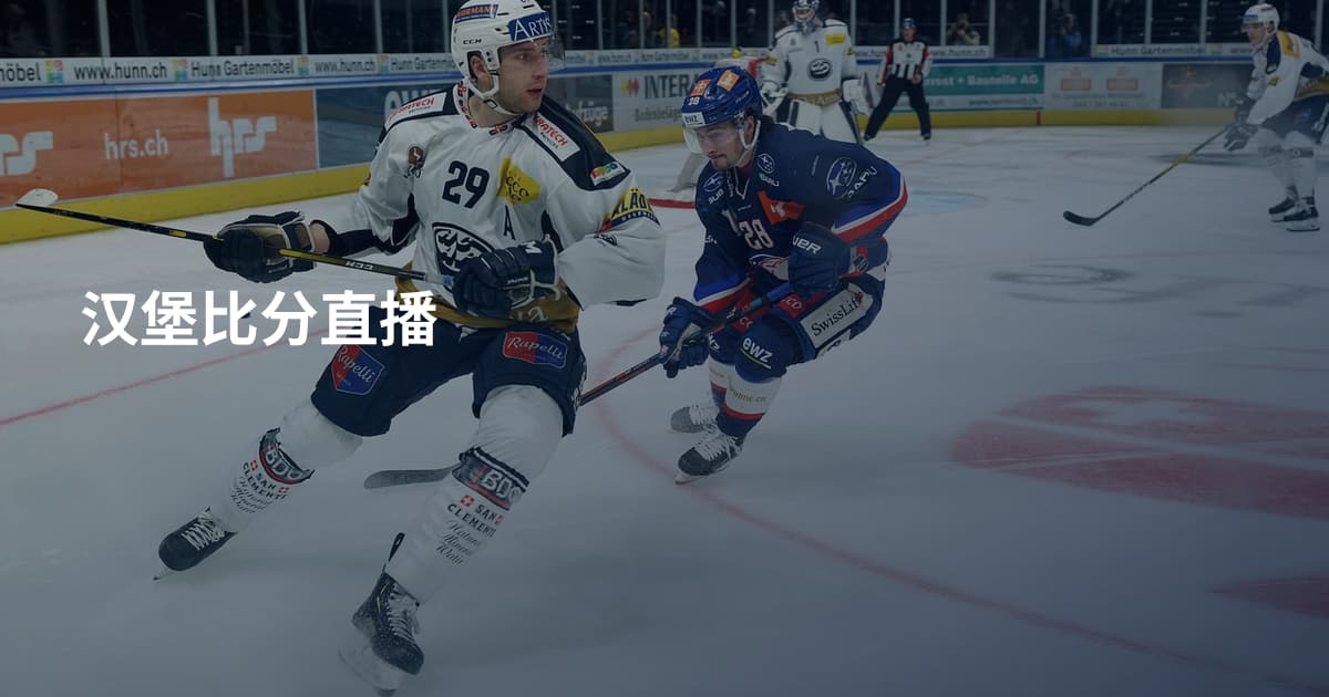 汉堡比分直播