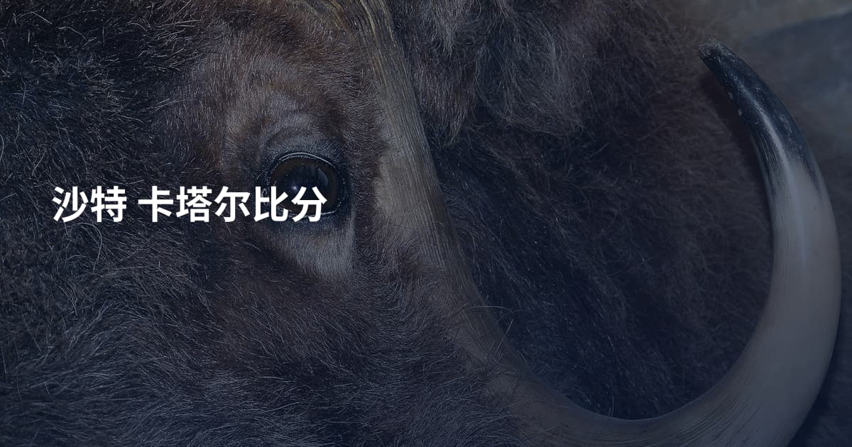 沙特 卡塔尔比分