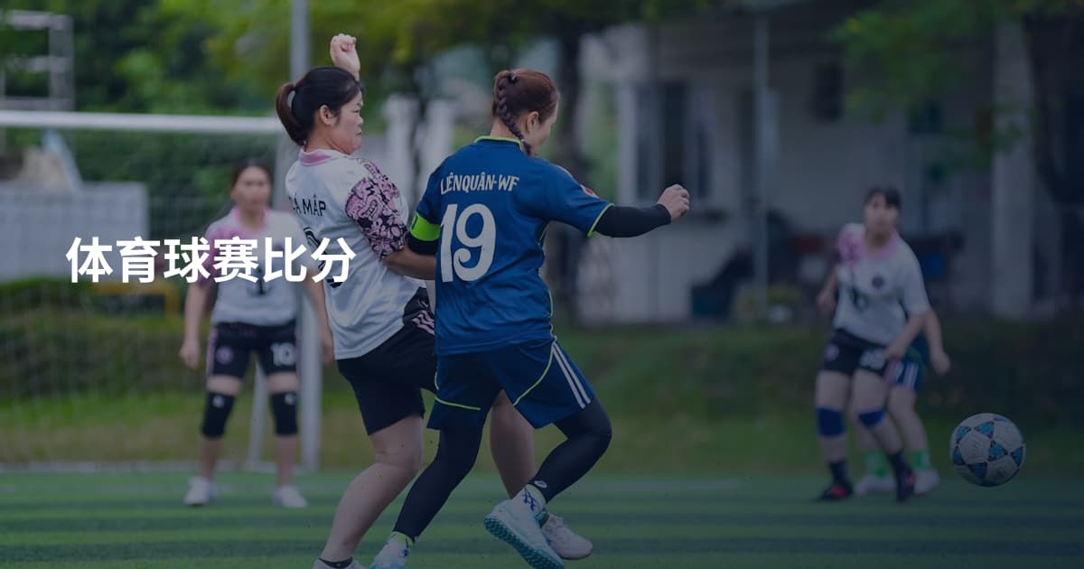 体育球赛比分