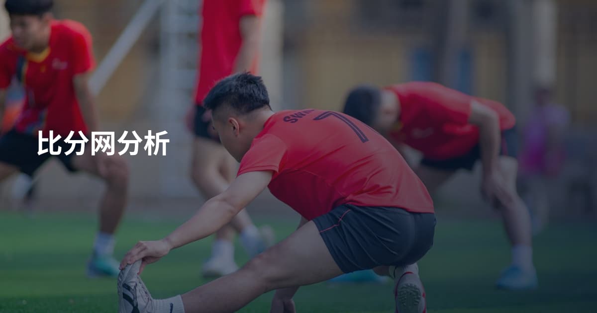 比分网分析
