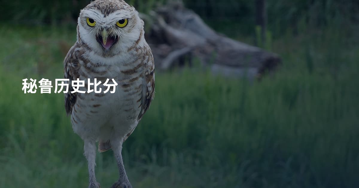 秘鲁历史比分