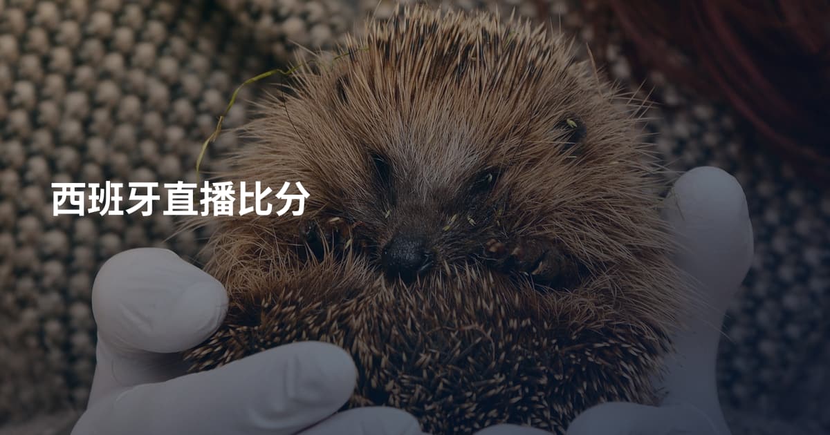 西班牙直播比分