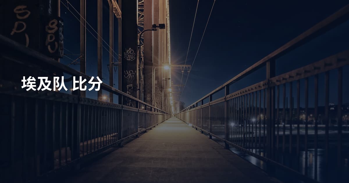 埃及队 比分