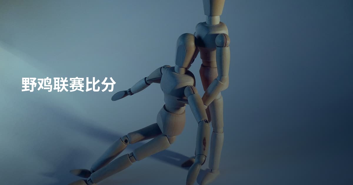 野鸡联赛比分