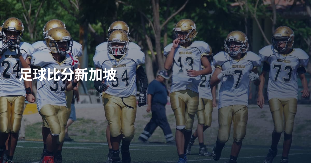 足球比分新加坡