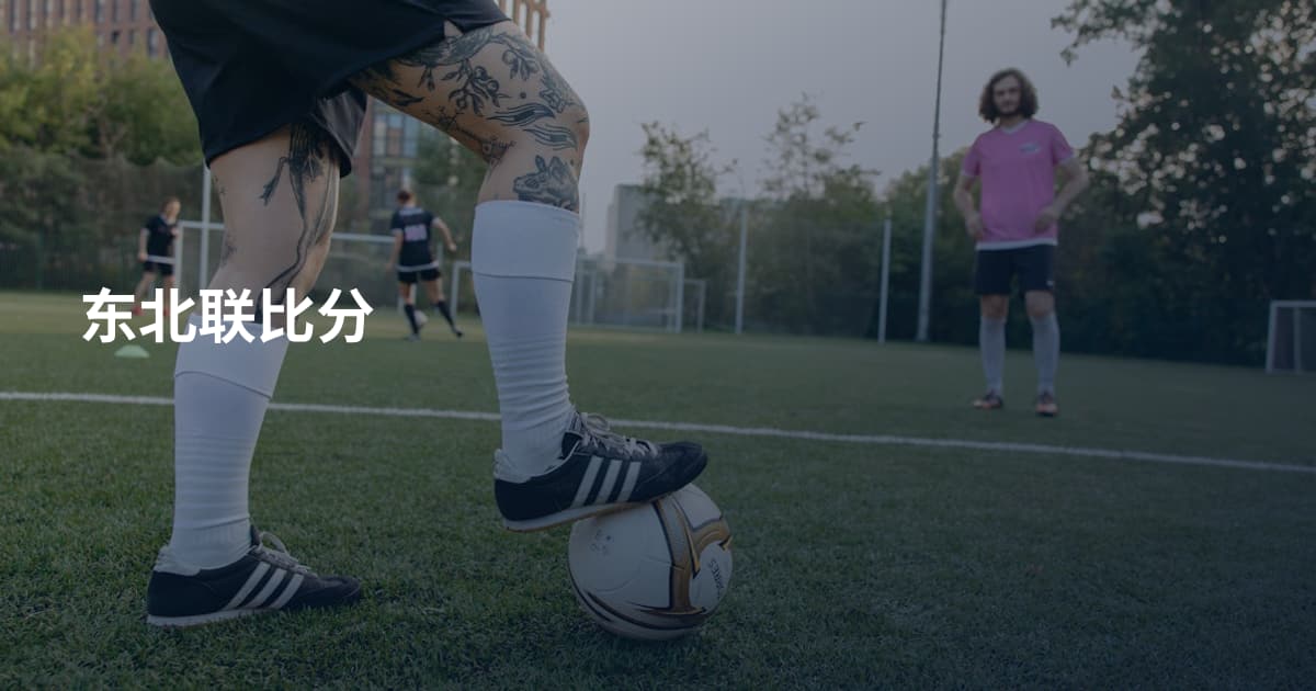 东北联比分