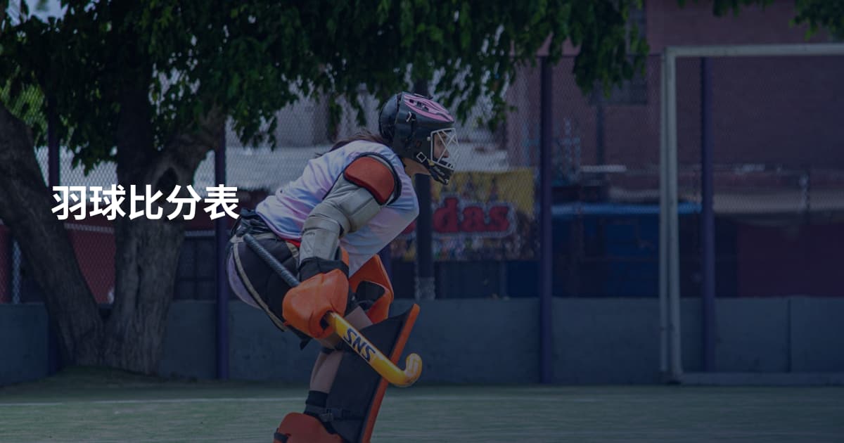 羽球比分表
