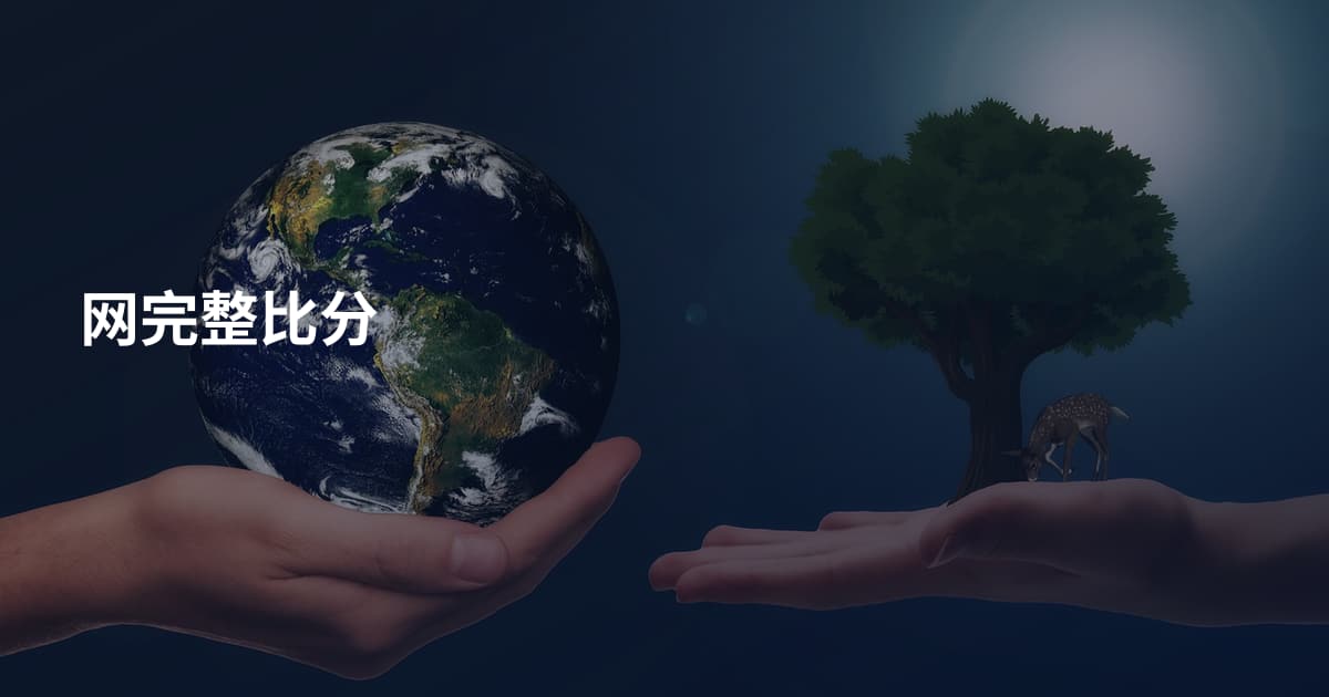 网完整比分