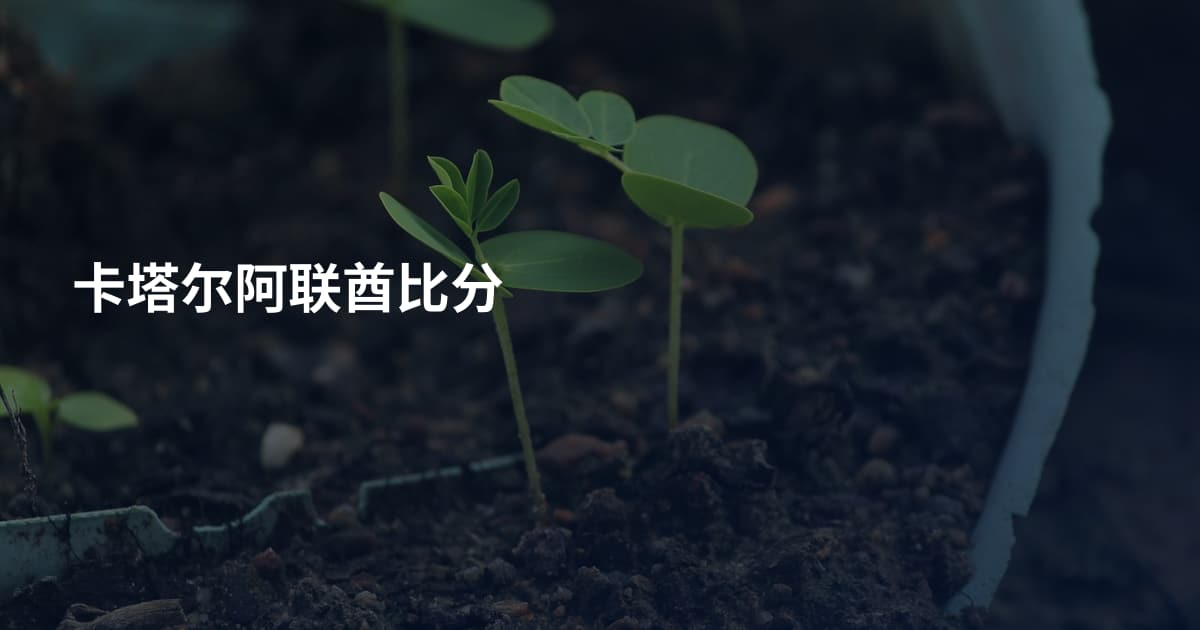 卡塔尔阿联酋比分
