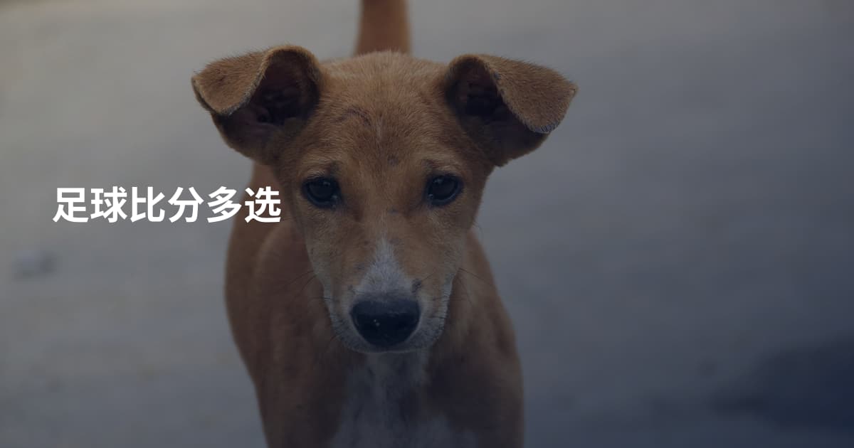 足球比分多选
