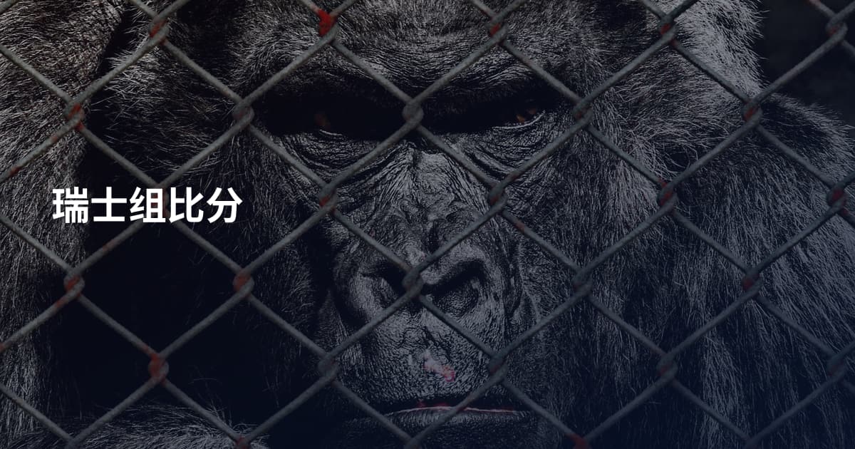 瑞士组比分