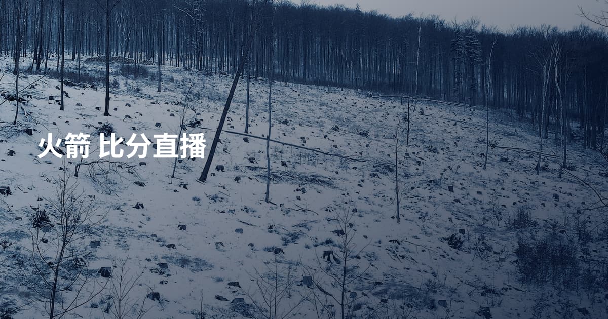 火箭 比分直播