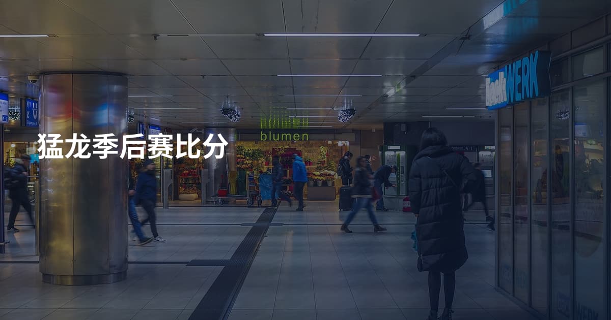 猛龙季后赛比分