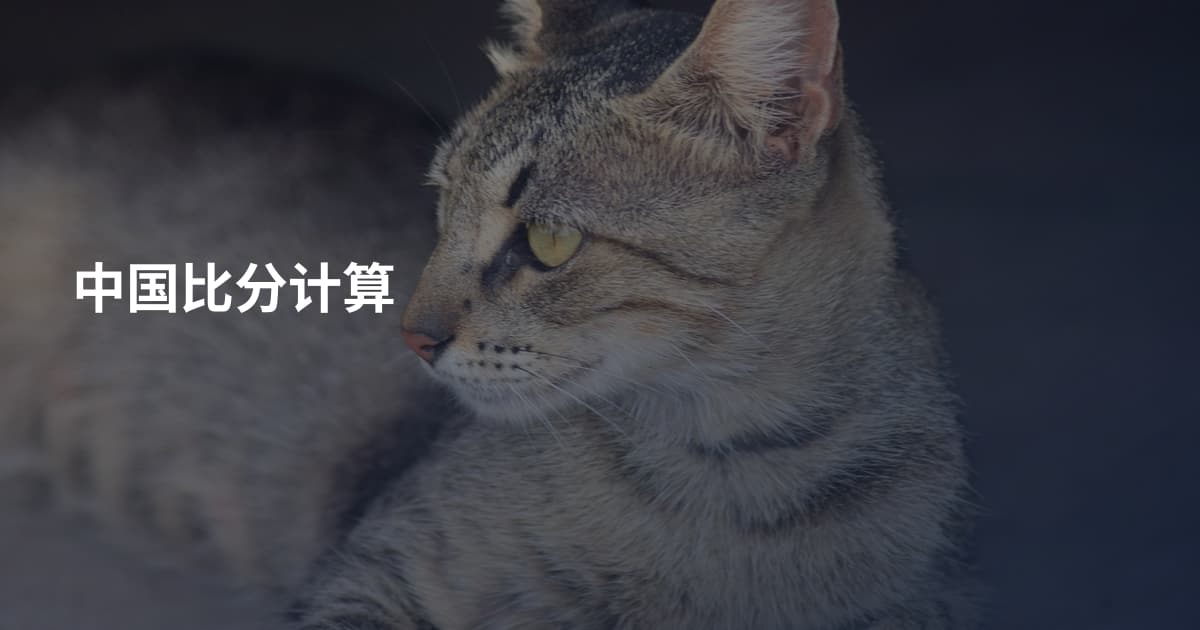中国比分计算