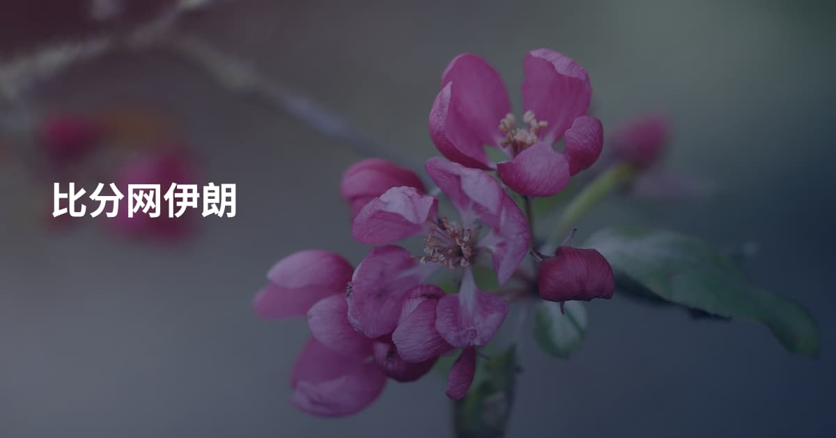 比分网伊朗