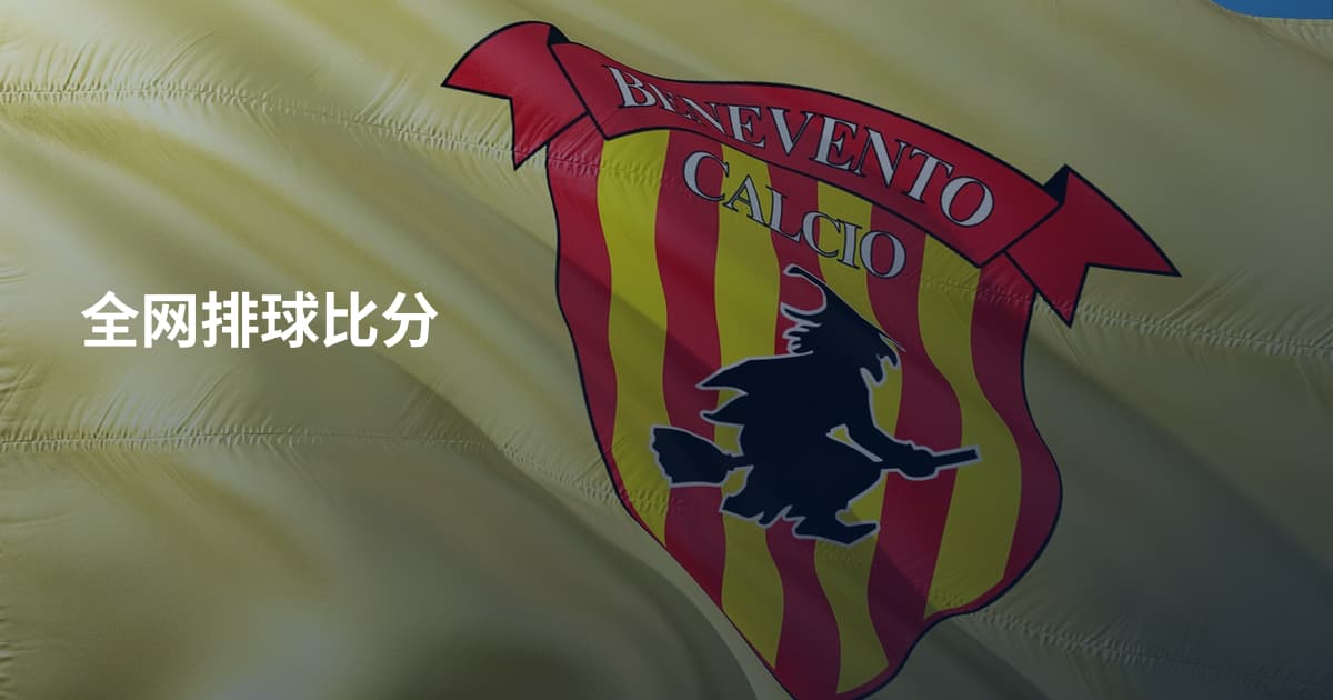 全网排球比分