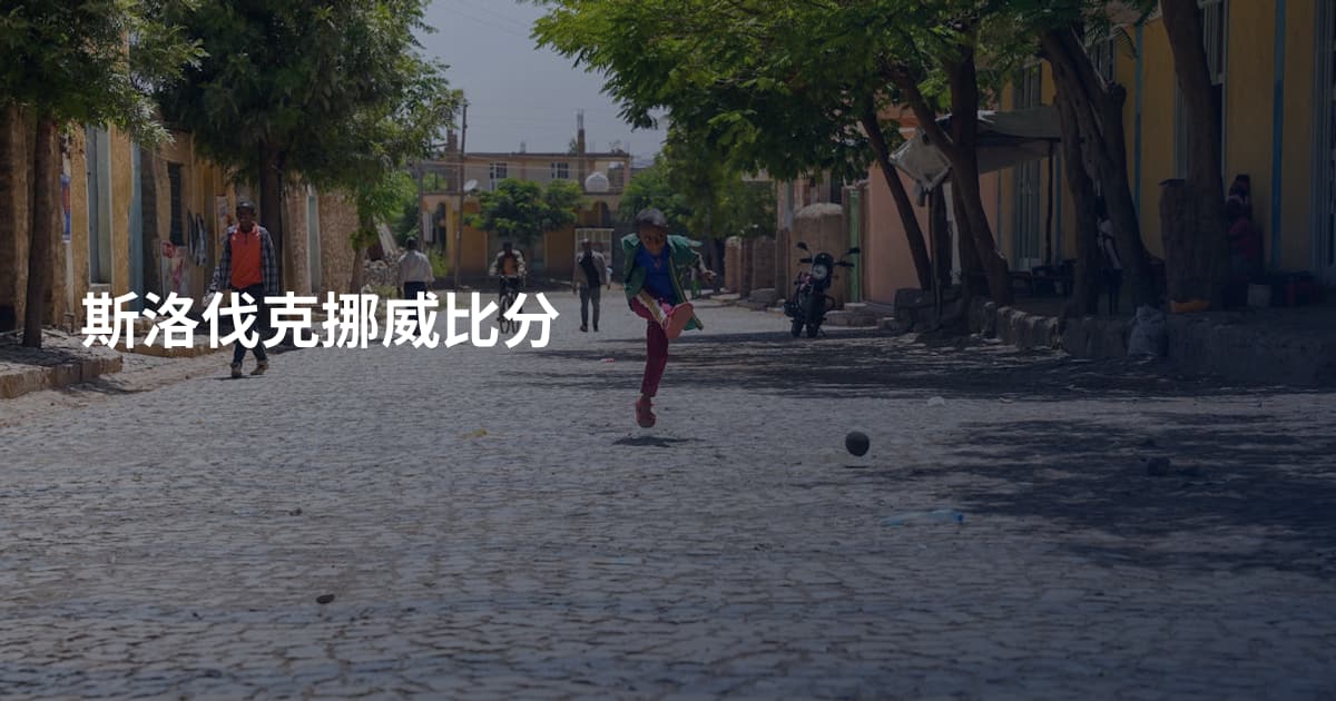 斯洛伐克挪威比分