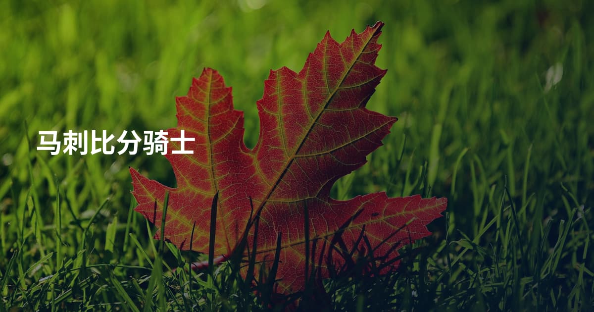 马刺比分骑士