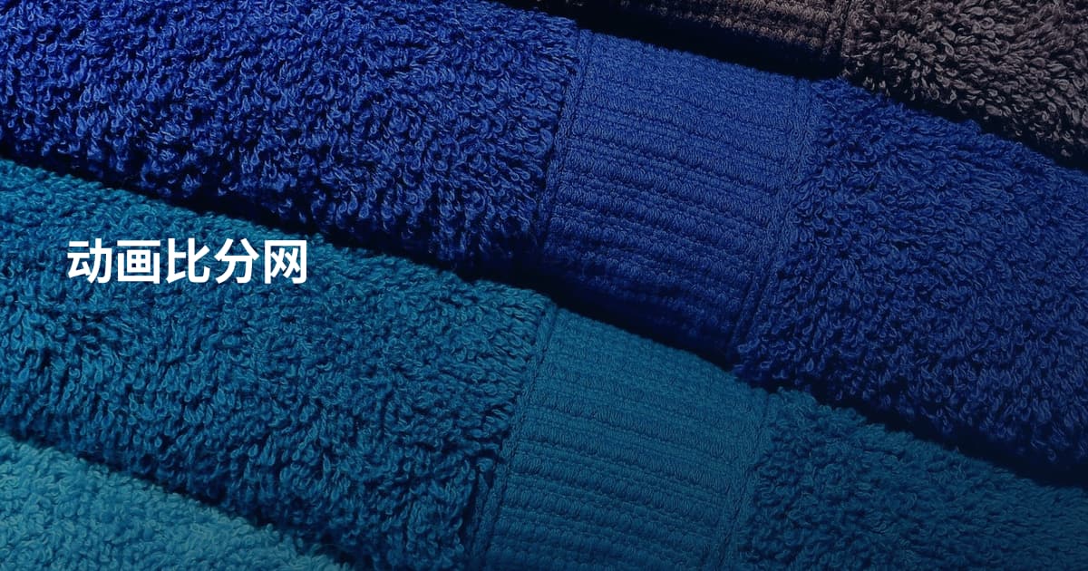 动画比分网