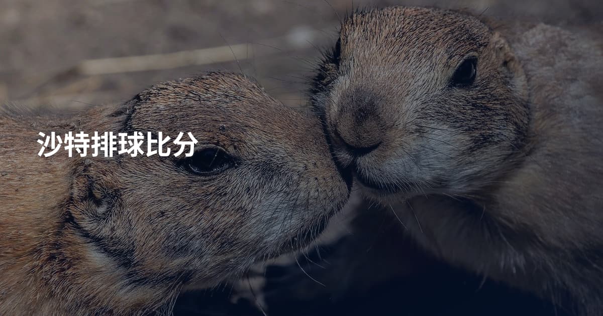 沙特排球比分