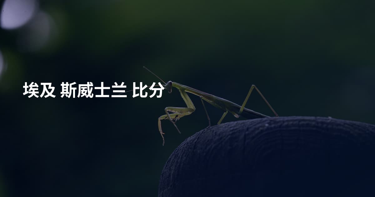 埃及 斯威士兰 比分